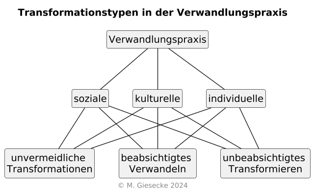 Baum_Transformationspraxis