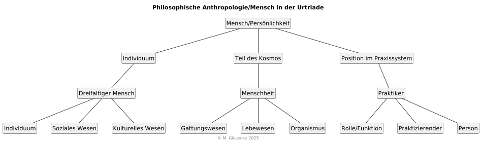 Triadische Anthropologie