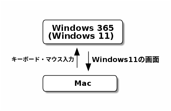 Windows 365